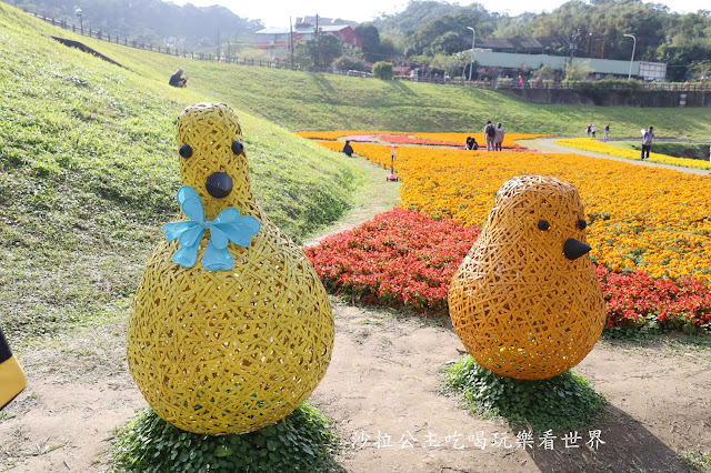 內湖景點『大溝溪親水公園』免費玩水/萬株花海捷運大湖公園站