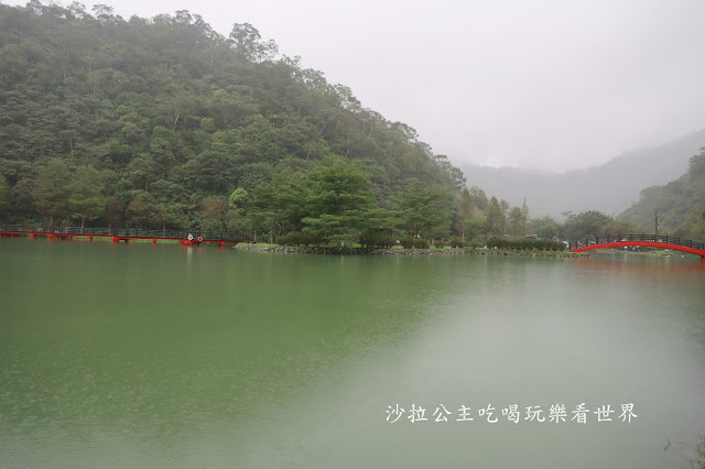 宜蘭員山免費景點『望龍埤』下一站幸福偶像劇拍攝場景花田村.落羽松