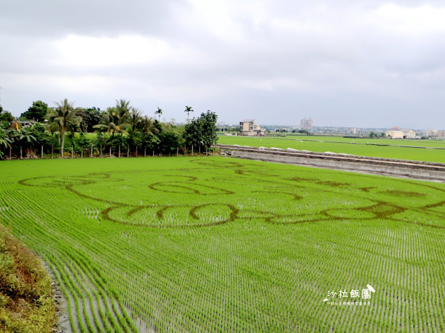 宜蘭版的天空之鏡！七彩小木屋30秒景點，路過順便拍拍