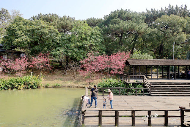 新竹景點『新竹公園』新竹人約會勝地，親子同遊