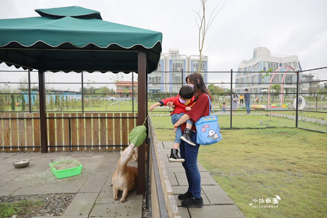 宜蘭景點『星夢森林劇場』水豚、草泥馬、梅花鹿、民宿、網美打卡景點