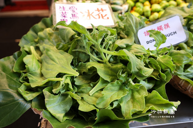 烏來美食『老街野菜屋』各式野菜、原住民風味料理