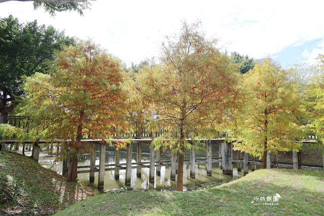 北投奇岩一號公園、落羽松、共融式兒童遊樂場、生態池