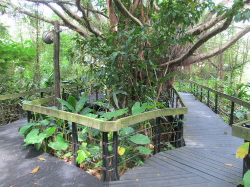 芝山文化生態綠園【士林】