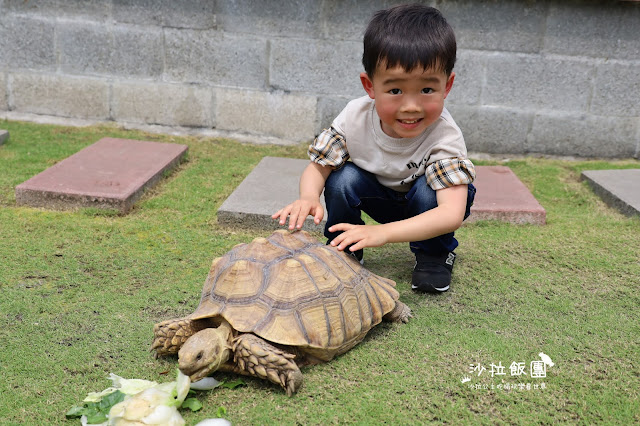 2500坪超狂親子民宿『親水89饗樂民宿』餵浣熊.溜羊.餵魚.餵兔子/大型磨石子溜滑梯/特斯拉充電站/有電梯