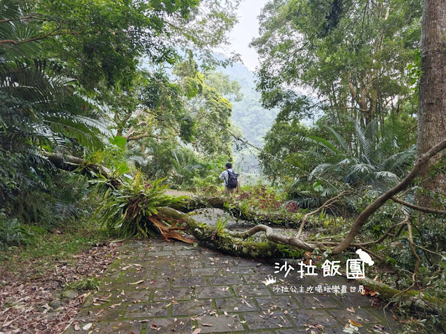 古坑草嶺『蓬萊瀑布』步行15分鐘可到達，草嶺十景之一