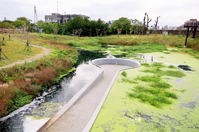 士林最新景點‼️雙溪濕地公園，制高點展望平台