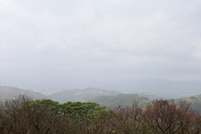 陽明山咖啡『天氣好的話陽明山』景觀餐廳