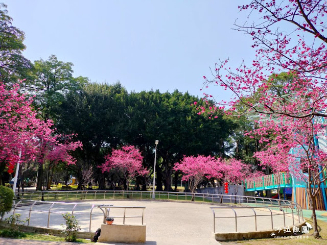 士林特色公園『前港公園』共融遊戲場、天空樹遊戲場溫水游泳池、士林宣原蛋糕專賣店、停車場