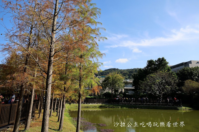 士林景點『原住民文化主題公園』IG打卡熱點/網美必拍/士林落羽松