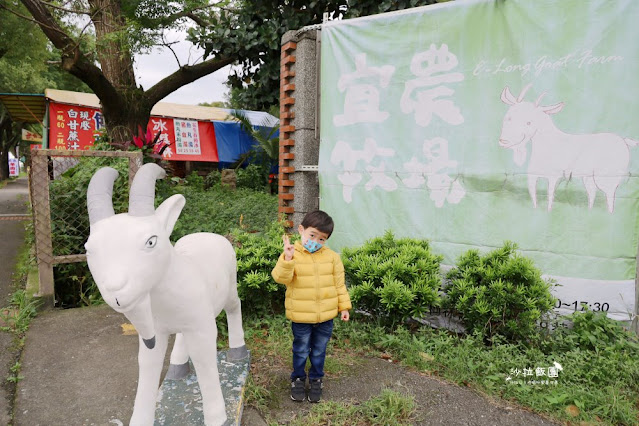 宜蘭景點『宜農牧場』門票100元、餵動物體驗、遊具、親子農場