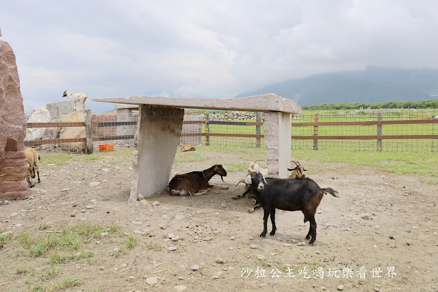 花蓮景點50元門票『崇德瑩農場』餵羊.景觀咖啡.露營車.風味餐廳