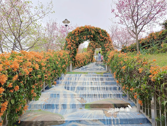 鶯歌景點『鶯歌永吉公園』炮仗花、3D步道、迴旋溜滑梯特色公園