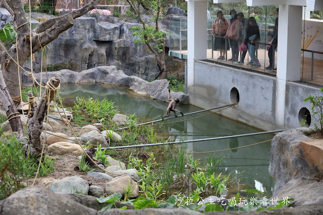 全台最老動物園『新竹動物園』全新打造沒有籠子友善動物園/新竹景點