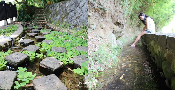 士林隱藏版親水步道『菁礐古圳』百年古圳