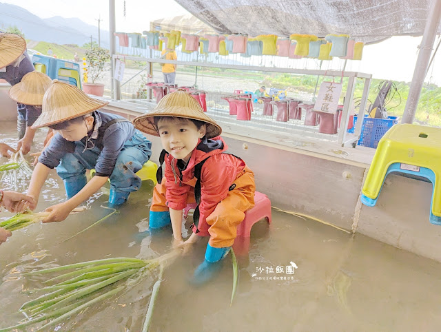 宜蘭親子景點『初咪體驗農場』拔三星蔥、、抓泥鰍、DIY創意蔥麵包體驗、沙坑