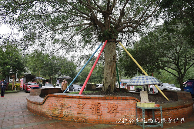 宜蘭員山免費景點『望龍埤』下一站幸福偶像劇拍攝場景花田村.落羽松