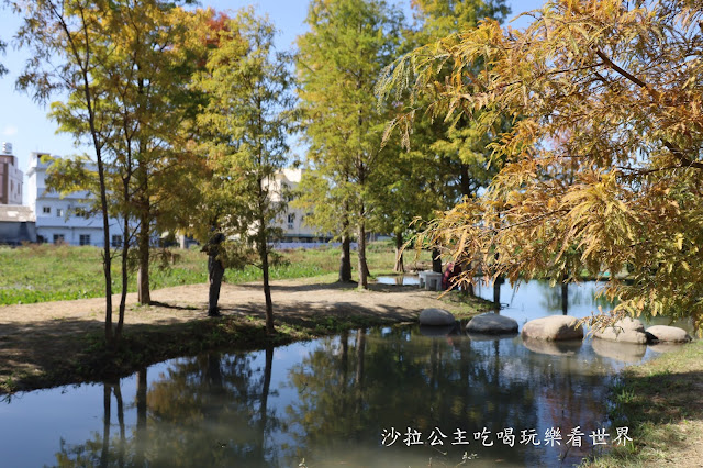 台中落羽松.后里泰安落羽松秘境『羽粼落羽松』裝置藝術像走到畫裡