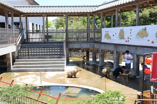 宜蘭住宿親子景點『綠舞國際觀光飯店』一泊二食住房