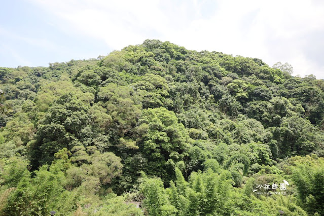 陽明山景觀咖啡廳『野人花園』不限時綠色森林秘境