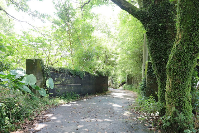 陽明山竹子湖景觀咖啡『山上聊』坐擁台北市景、絕佳視野