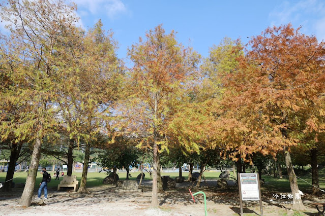 頭城景點頭城最新特色公園『頭城運動公園』宜蘭最美的共融公園、落羽松