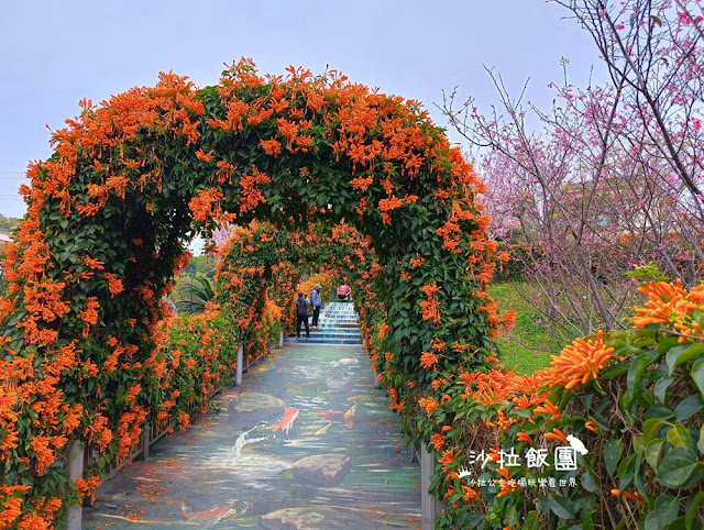 鶯歌景點『鶯歌永吉公園』炮仗花、3D步道、迴旋溜滑梯特色公園