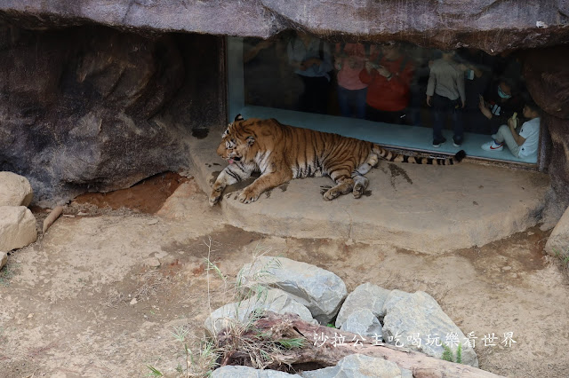 全台最老動物園『新竹動物園』全新打造沒有籠子友善動物園/新竹景點