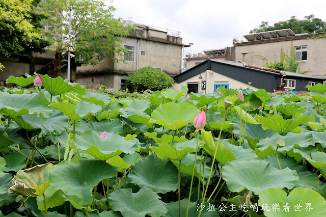 新竹竹北景點免門票『新瓦屋客家文化保存區』文青打卡景點