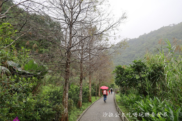 宜蘭員山免費景點『望龍埤』下一站幸福偶像劇拍攝場景花田村.落羽松