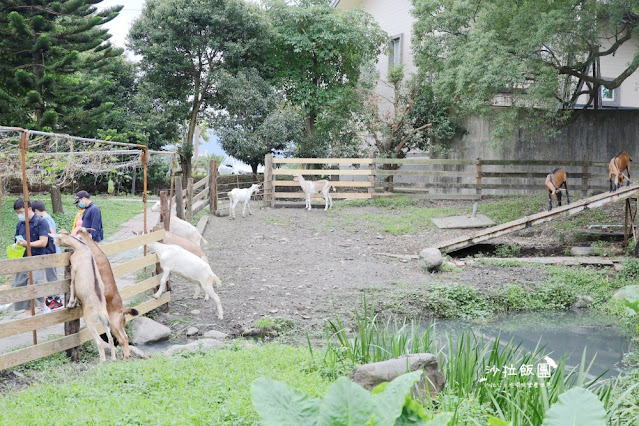 宜蘭景點『宜農牧場』門票100元、餵動物體驗、遊具、親子農場