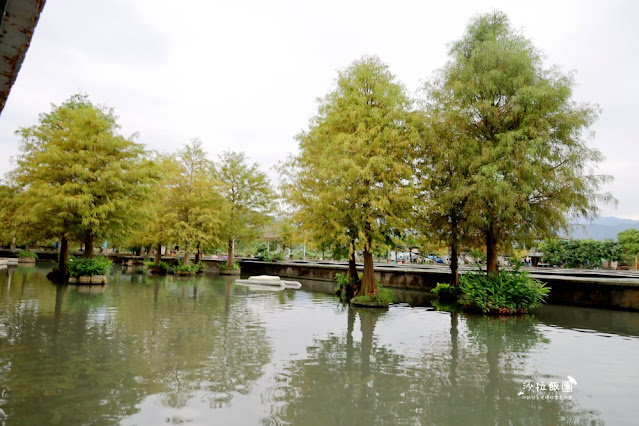 宜蘭景點『勝洋水草休閒農場』釣魚、划竹筏、溫泉魚、玩水、落羽松、IG彩虹傘、DIY