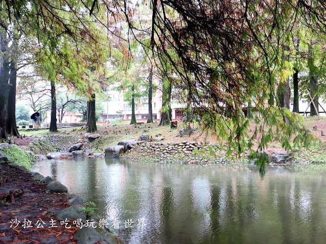 宜蘭羅東落羽松『羅東運動公園』冬季限定/宜蘭羅東景點