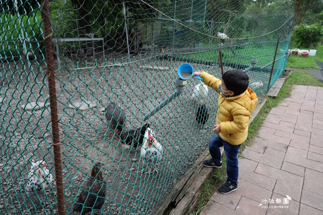 宜蘭景點『宜農牧場』門票100元、餵動物體驗、遊具、親子農場