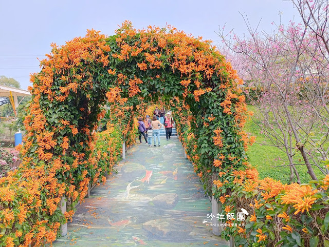 鶯歌景點『鶯歌永吉公園』炮仗花、3D步道、迴旋溜滑梯特色公園