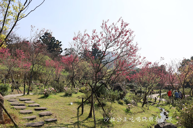 台北景點『陽明公園』陽明山花季/北投景點/櫻花季