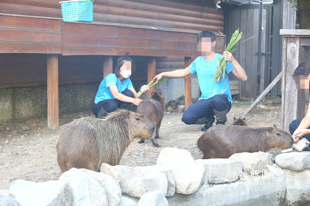 全台最頂級夜宿水族館！桃園和逸Blu Night宿海奇遇》Xpark住一晚