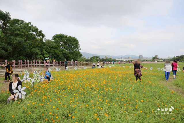 免費入場【2021愛戀關渡花現幸福】5公頃大片花海，北投景點