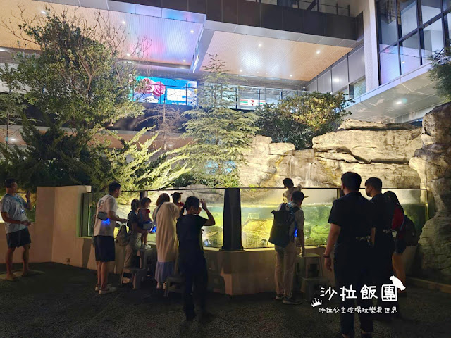 全台最頂級夜宿水族館！桃園和逸Blu Night宿海奇遇》Xpark住一晚