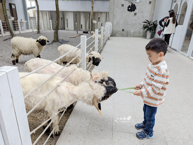 宜蘭景點黑RURU CAFE，來用餐還可以順便餵羊不用再找景點