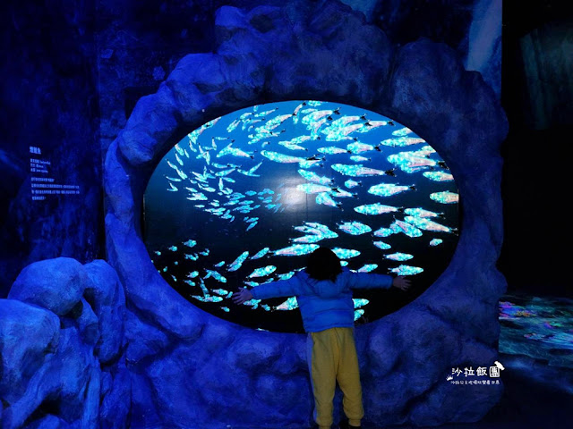 超震撼‼️最強展覽光之影海洋展體驗被海水包圍360°沉浸式光影藝術