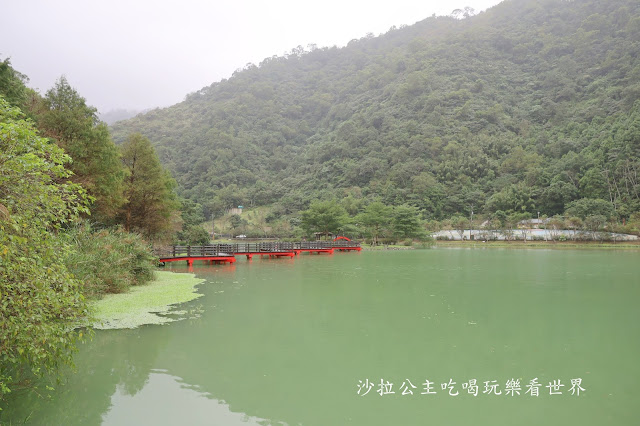 宜蘭員山免費景點『望龍埤』下一站幸福偶像劇拍攝場景花田村.落羽松