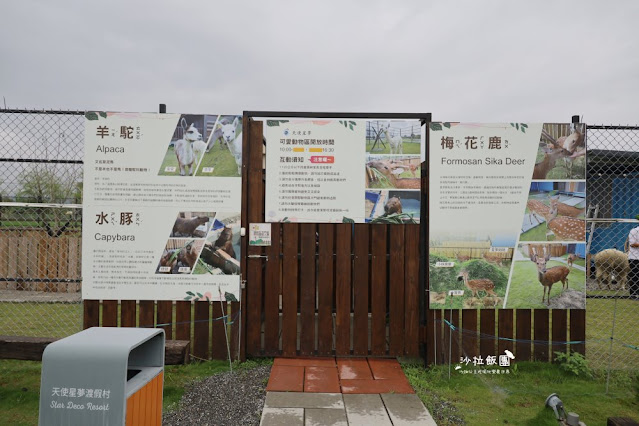 宜蘭景點『星夢森林劇場』水豚、草泥馬、梅花鹿、民宿、網美打卡景點