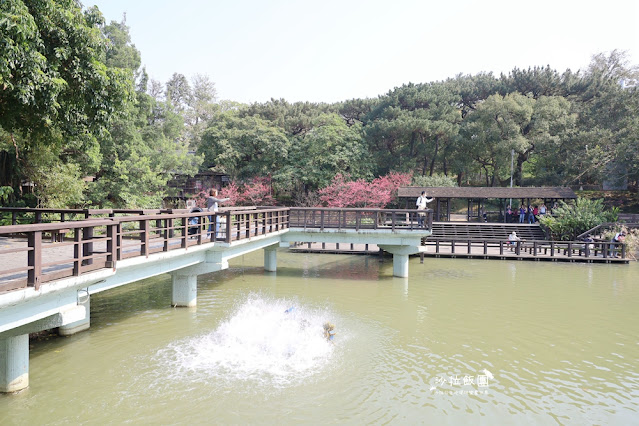 新竹景點『新竹公園』新竹人約會勝地，親子同遊