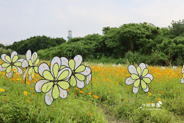 免費入場【2021愛戀關渡花現幸福】5公頃大片花海，北投景點