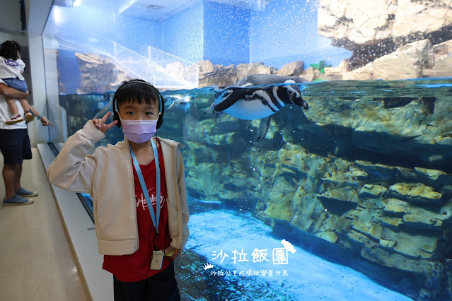 全台最頂級夜宿水族館！桃園和逸Blu Night宿海奇遇》Xpark住一晚