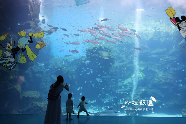 全台最頂級夜宿水族館！桃園和逸Blu Night宿海奇遇》Xpark住一晚