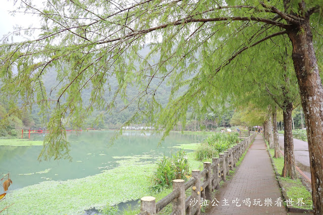 宜蘭員山免費景點『望龍埤』下一站幸福偶像劇拍攝場景花田村.落羽松