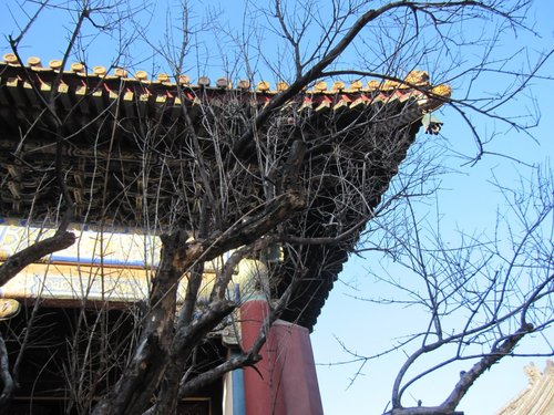 北京旅遊/北京景點『雍和宮』