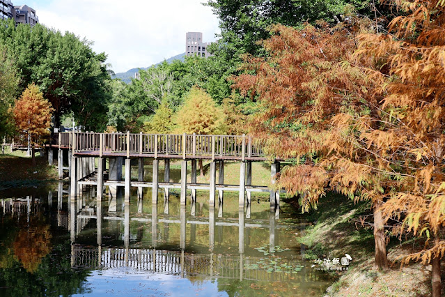 北投奇岩一號公園、落羽松、共融式兒童遊樂場、生態池